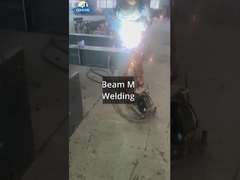 Sri Lanka Steel Workshop z projektem żurawia